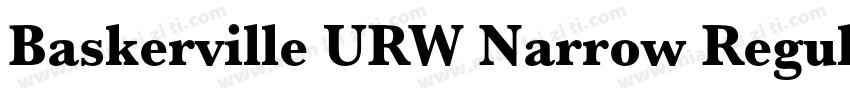 Baskerville URW Narrow Regular字体转换